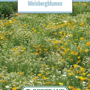 Blumenwiese Blumen der Weinberge (100 g) | Blumensamen von Bertrand Markenware