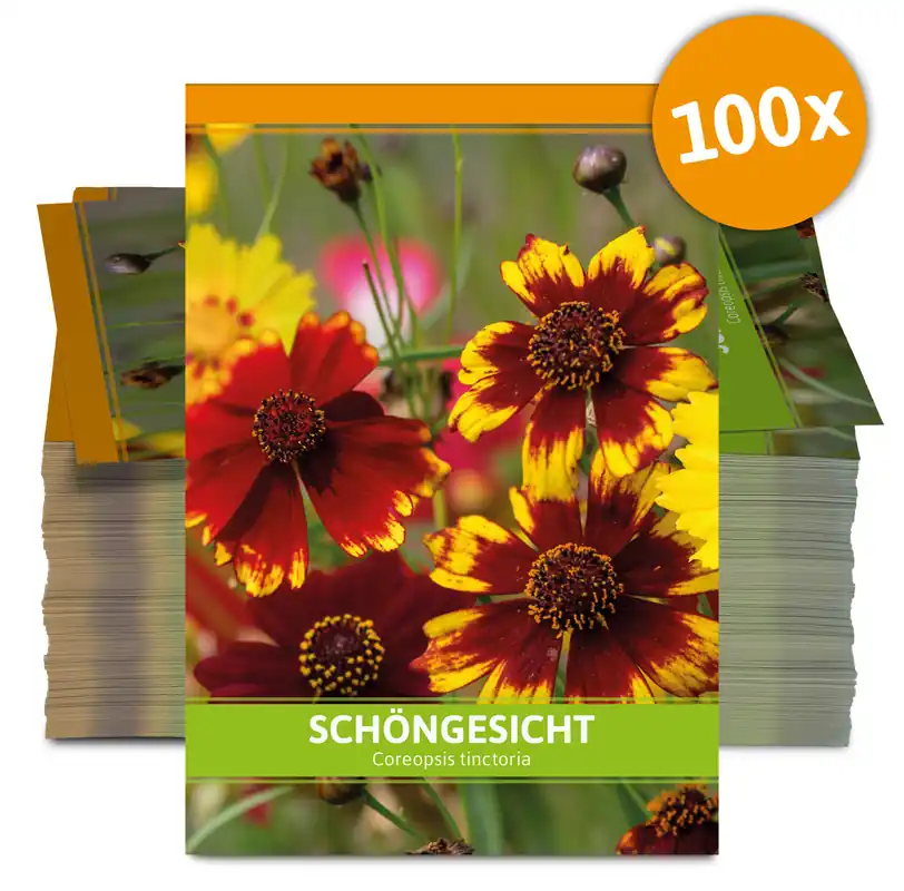 Begrenztes Angebot Schöngesicht für Werbezwecke (100 Tütchen) | Schöngesichtsamen von FLORTUS