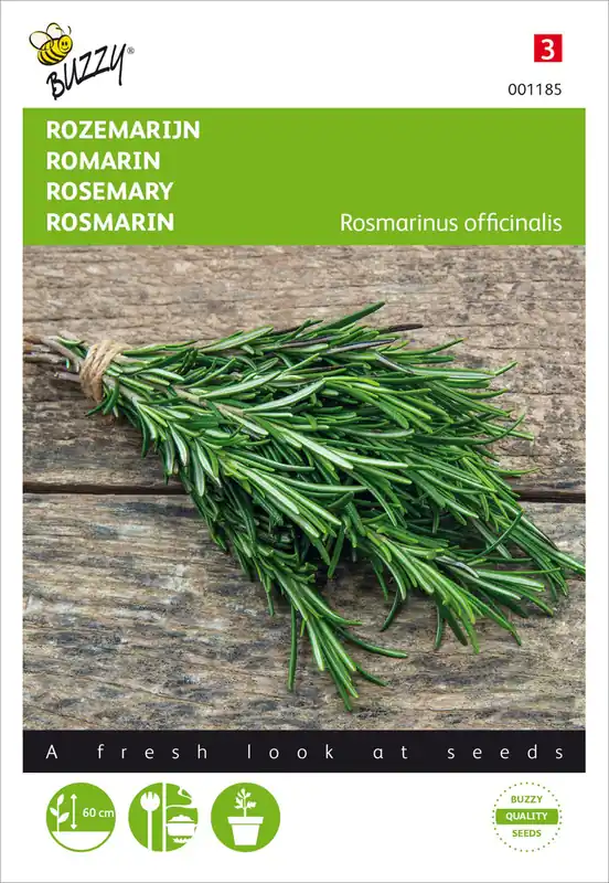 Echt Rosmarin | Rosmarinsamen von Buzzy Seeds