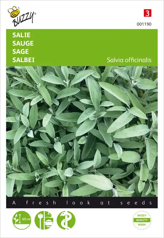 Salbei | Salbeisamen von Buzzy Seeds Schnäppchen