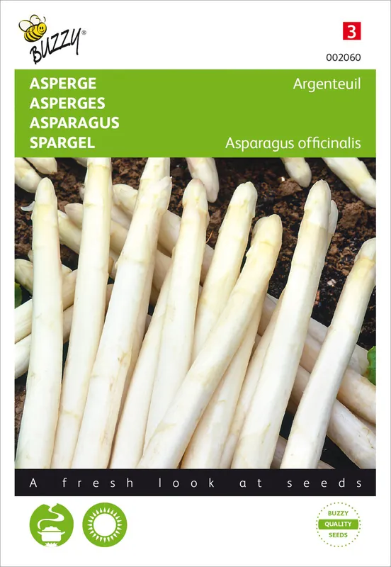 Spargel Argenteuil | Spargelsamen von Buzzy Seeds Neue Ware