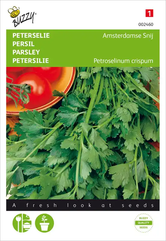 Rabatt Petersilie Amsterdamse Snij | Petersiliensamen von Buzzy Seeds