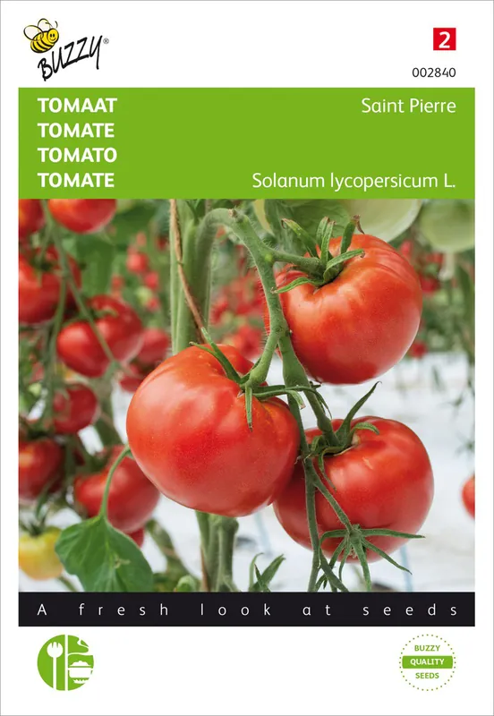 Sichere Zahlung Tomate Saint Pierre | Tomatensamen von Buzzy Seeds