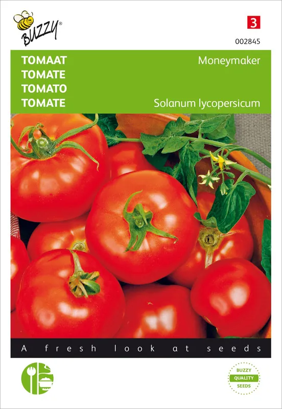 Gratis Versand Tomate Moneymaker | Stabtomatensamen von Buzzy Seeds