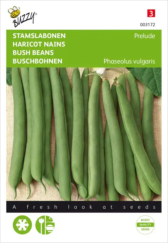Buschbohne Prelude | Buschbohnensamen von Buzzy Seeds Abverkauf