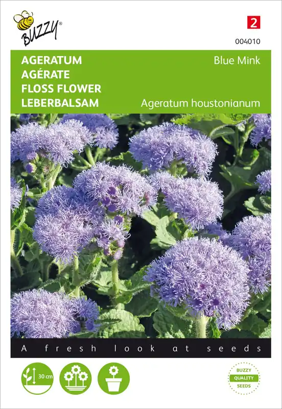 Leberbalsam Blue Mink | Leberbalsamsamen von Buzzy Seeds Direktkauf