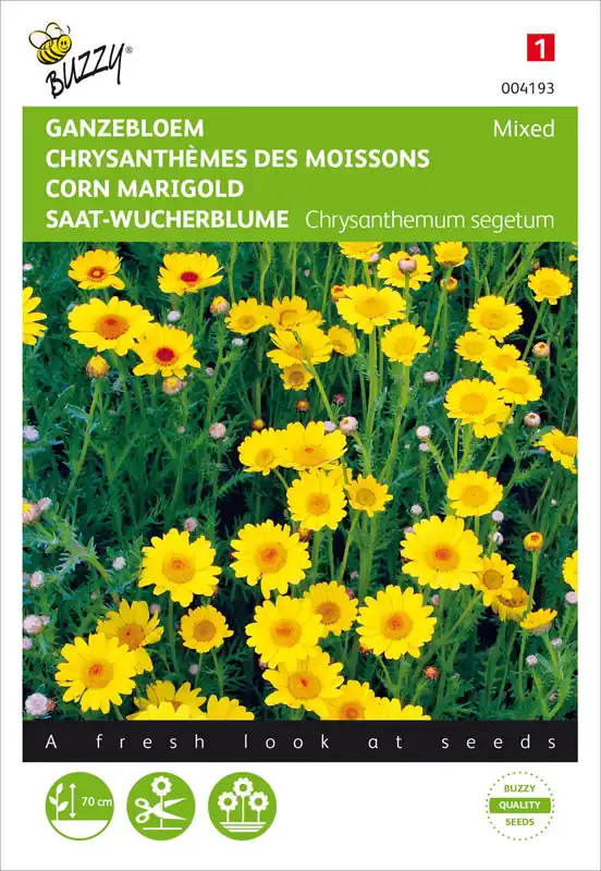 Neue Ware Saat Wucherblume Gelbe Mischung | Blumensamen von Buzzy Seeds