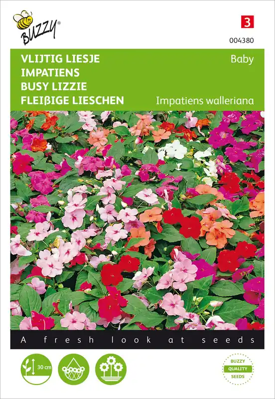 Geprüft Impatiens Fleißige Lieschen Baby Mischung | Fleißiges Lieschen Samen von Buzzy Seeds