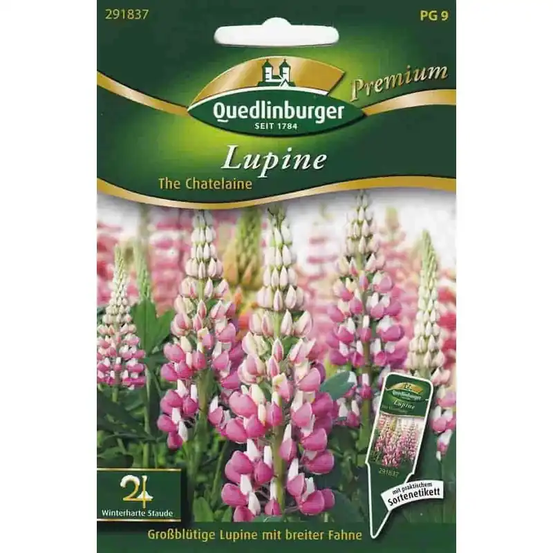Lupine, The Chatelaine Neu Im Sortiment