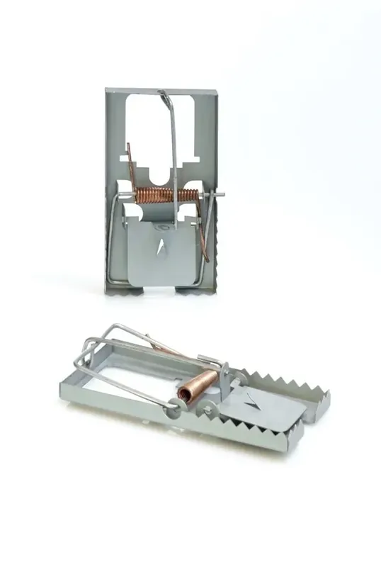 Metallmausefalle im 2er Set Nur Heute