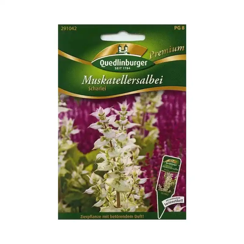 Muskatellersalbei kaufen, Salbei Preisknaller