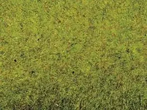 Grasmatte Sommerwiese 200 x 100 cm Billig