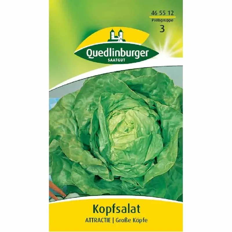 Kopfsalat, Attractie Nur Heute