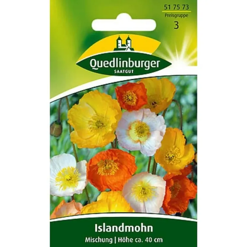 Neue Kollektion Islandmohn Mischung, Mohnblumen, Blumensamen