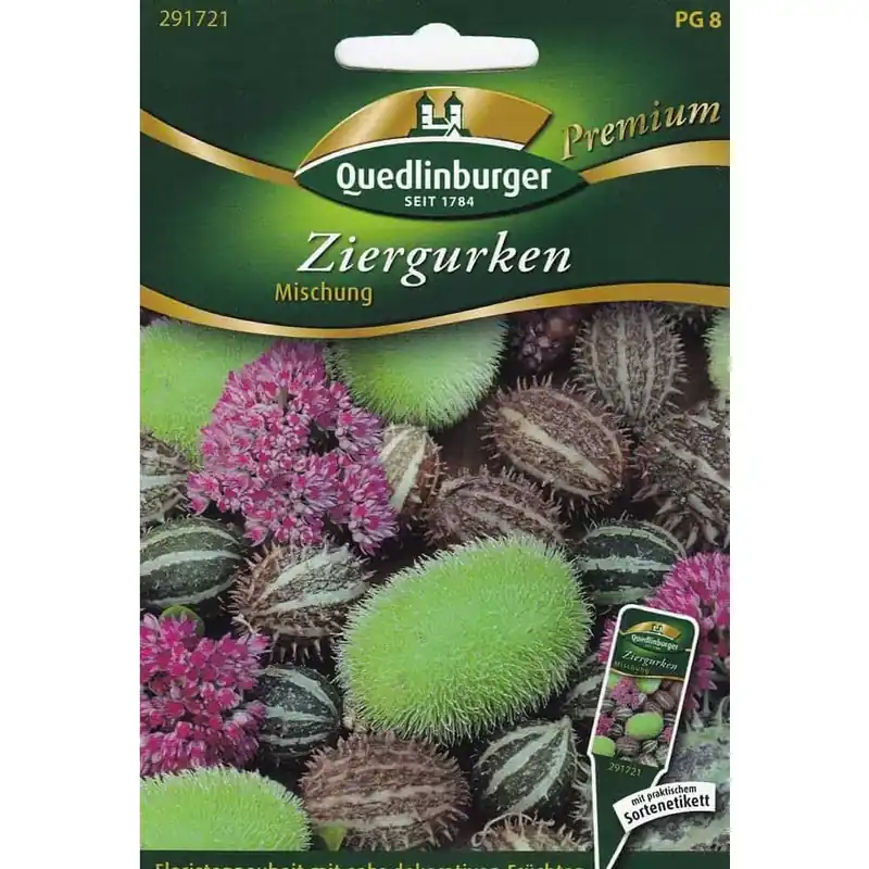 Ziergurken Mischung Sale