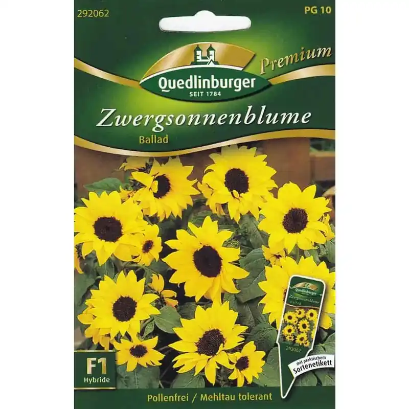Zwergsonnenblumen Ballad F1, Sonnenblumensamen, Topfsonnenblume Neu Im Sortiment