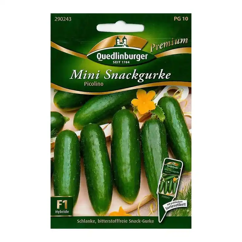 Abverkauf Snackgurke, Mini Snack Gurke Picolino F1, Gurkensamen